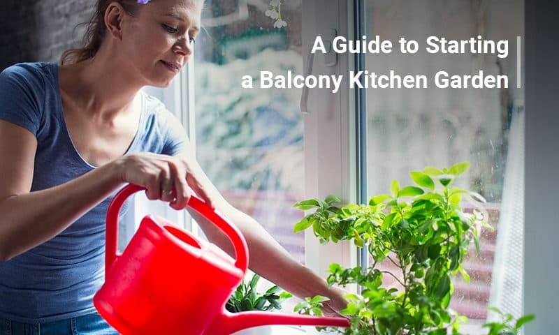 A Guide to Starting a Balcony Kitchen Garden